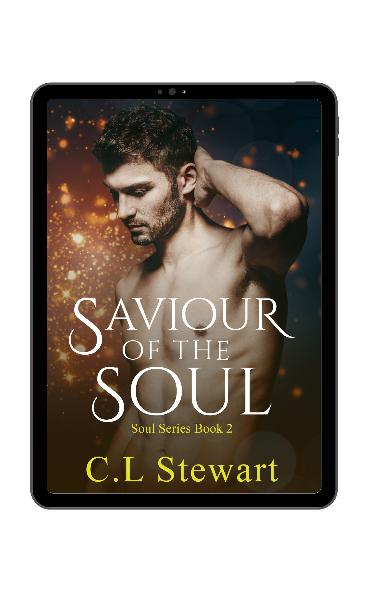 Soul Series Trilogy Book 2 - Saviour of The Soul